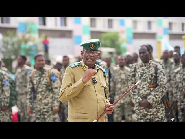 Taliska Ciidanka Asluubta ayaa sagootiyay Cutubyo ciidan oo ku wajahan furimaha dagaalka.