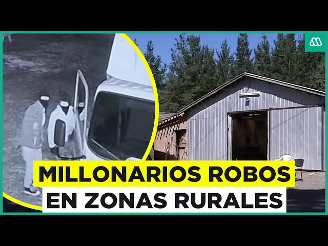 Utilizaron carretillas para trasladar artículos: Alerta por millonarios robos en zonas rurales