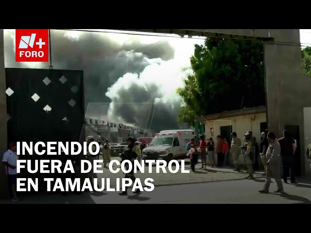 ⁣Incendio se sale de control en zona sur de Tamaulipas; desalojan habitantes - Las Noticias