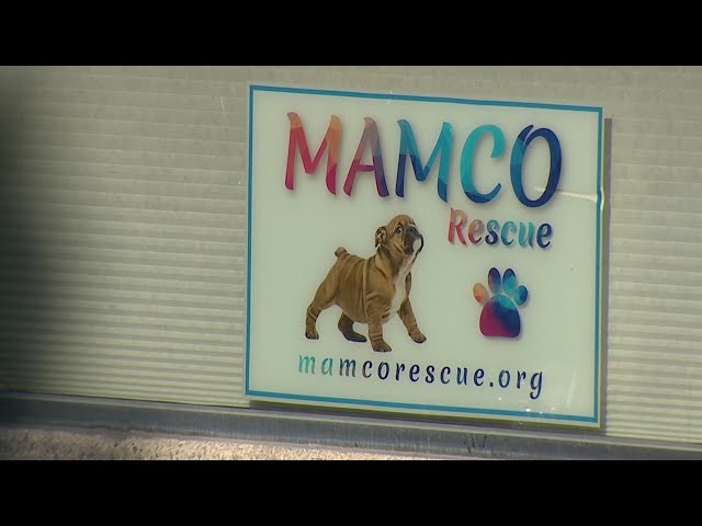 Rescue organization relinquishes pet animal facilities license