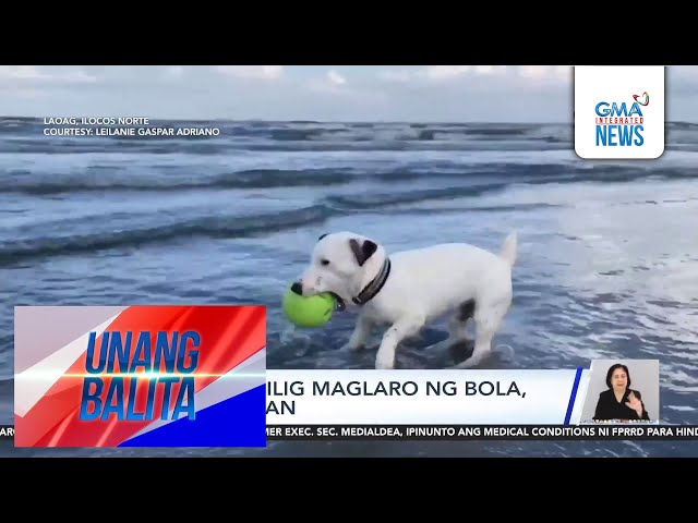 ⁣Asong mahilig maglaro ng bola, hinahangaan | Unang Balita