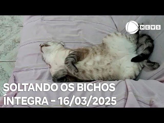 Soltando os Bichos - 16/03/2025