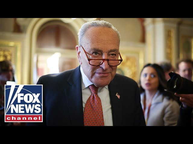 Dems turn on Schumer after he folds to Trump