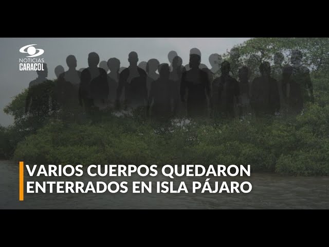 ⁣Restos de cientos de desaparecidos esperan en Isla Pájaro, en Estero San Antonio, a ser rescatados