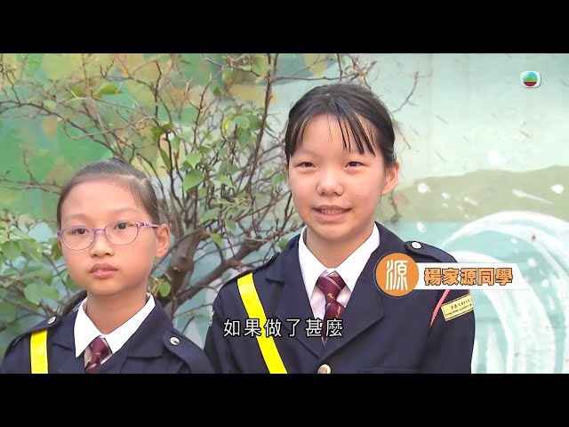 TVB探古尋源｜交通安全隊2｜無綫新聞｜TVB News