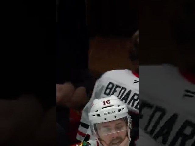 Connor Bedard Apologizes While Storming Out After Misconduct 