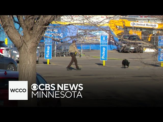 A bomb threat at Walmart led to a big law enforcement response