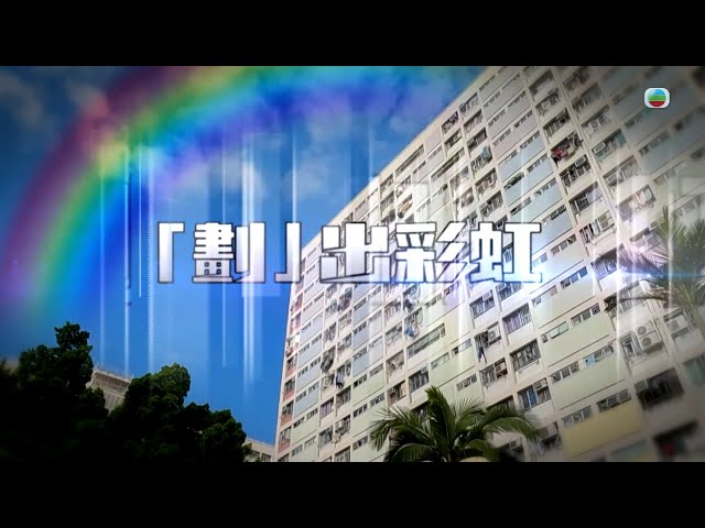 ⁣TVB 星期日檔案｜揮別彩虹邨：逾60年校舍　承載歷代彩虹人悲歡離合｜無綫新聞 TVB News