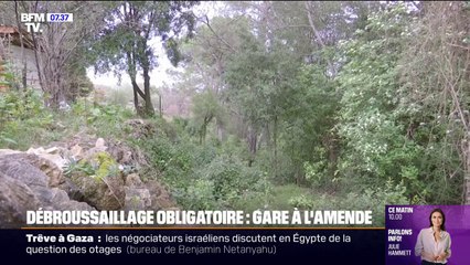 ⁣Dans toutes les communes de l'Hérault, le débroussaillage devient obligatoire sous peine d'