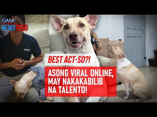 BEST ACT-SO?! Asong viral online, may nakakabilib na talento! | GMA Integrated Newsfeed