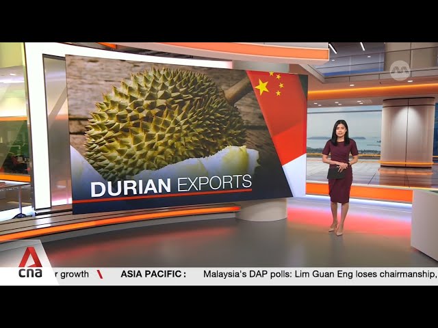 Indonesia aims to begin exports of frozen durians to China