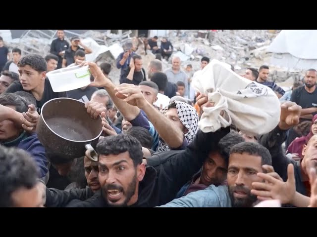 ⁣Gazans struggle for survival amid Israeli aid blockade