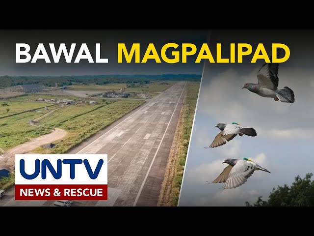 ⁣Pagpapalipad ng mga kalapati malapit sa Bicol Int'l Airport, ipinagbabawal