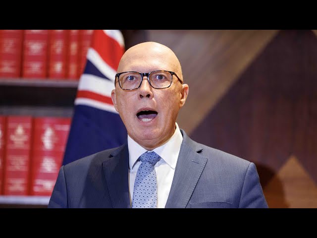 ⁣‘Lost a bit of skin’: Negative campaigns hit Peter Dutton’s popularity