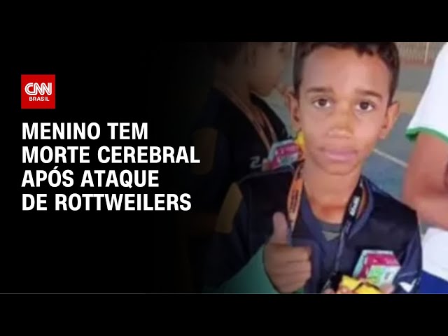 Menino de 12 anos tem morte cerebral após ser atacado por rottweilers em MG | CNN NOVO DIA