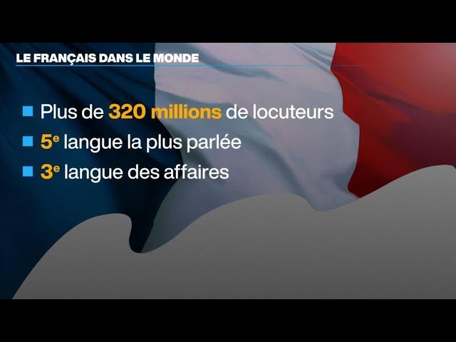 Parler français est-il un atout économique ? • FRANCE 24