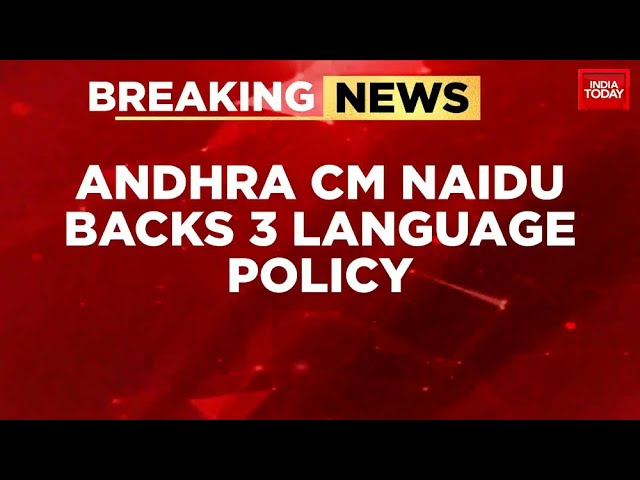 ⁣Andhra CM Naidu Backs NEP's Three-Language Policy, Urges 'Do Not Hate Hindi'