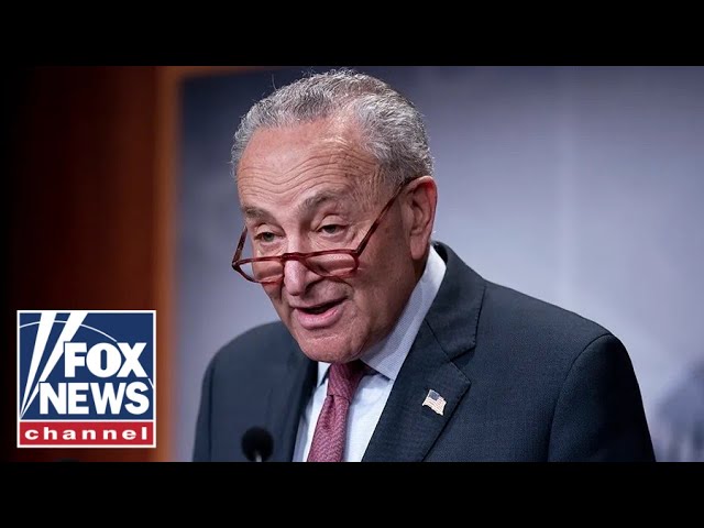 'FOLDED LIKE A NAPKIN': MSNBC panel roasts Schumer