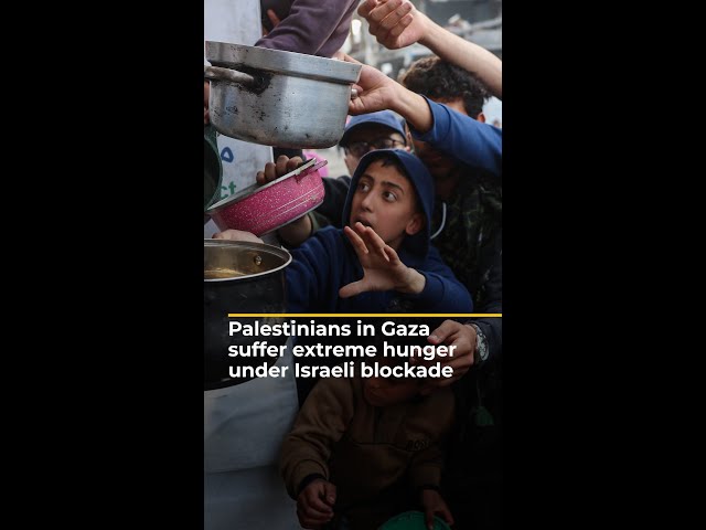 ⁣Palestinians in Gaza suffer extreme hunger under Israeli blockade | AJ#shorts