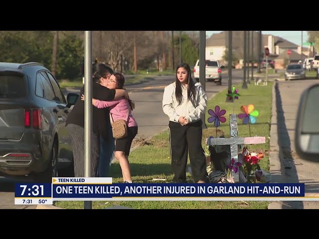 ⁣Teen girl killed, brother seriously injured in Garland hit-and-run