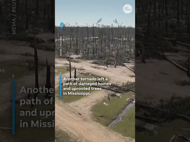 Tornadoes cause widespread damage in Mississippi, Arkansas #Shorts