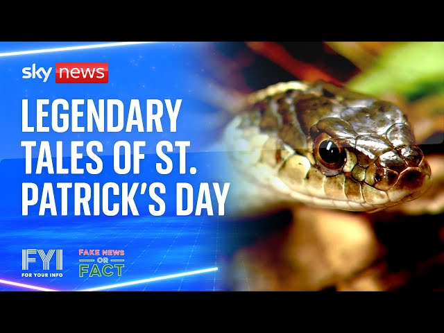 ⁣FYI Fake News or Fact: Legendary tales of St Patrick's Day