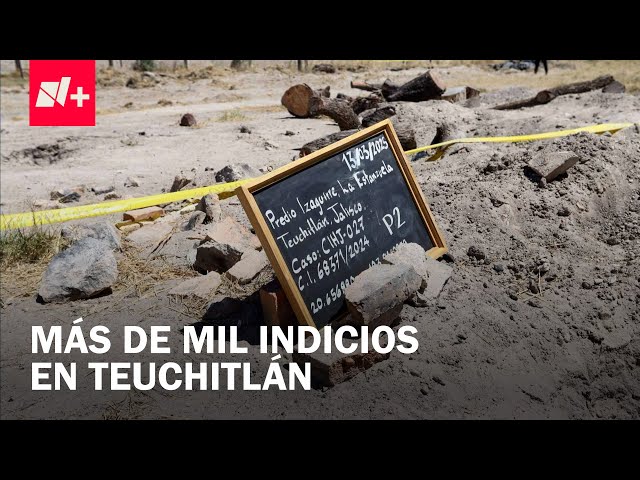 ⁣Caso Teuchitlán: Suman más de mil indicios encontrados en Rancho Izaguirre - Despierta