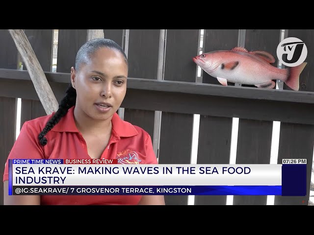 ⁣Sea Krave: Making Waves in the Sea Food industry | TVJ Business Day