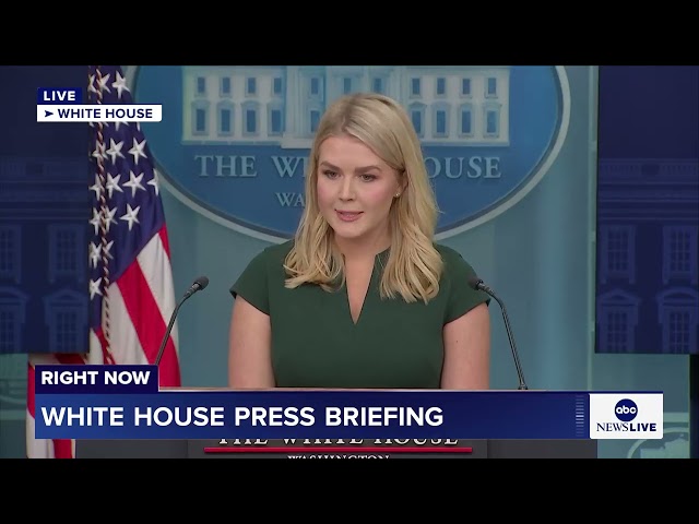 ⁣White House press secretary Karoline Leavitt defends deportation flights despite judge's order