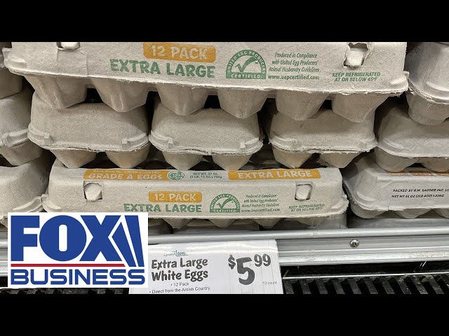 ⁣'LET THE CHICKENS HATCH': Wholesale egg prices fall rapidly