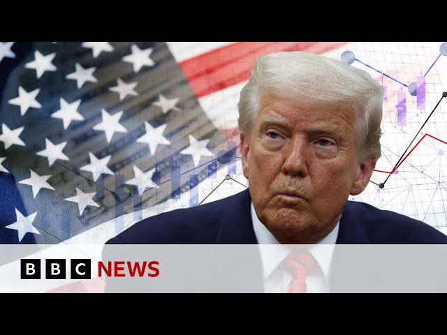 ⁣Trump’s trade war will damage growth OECD warns | BBC News