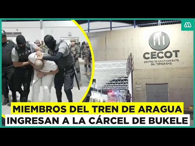 ⁣Miembros del Tren de Aragua llegan a la Megacárcel Bukele