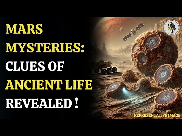 ⁣Is There Life on Mars? The Most Convincing Clues So Far | Wion Podcast