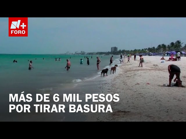 Multarán por tirar basura en sitios turísticos de Yucatán - Las Noticias