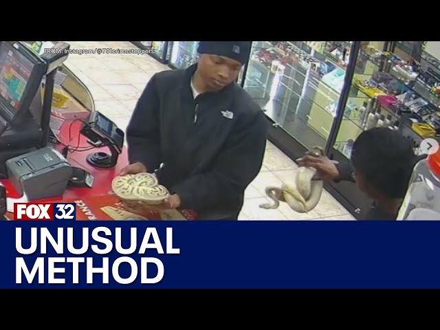 Across America: Search for python-wielding thieves