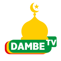 Replay DAMBE TV