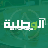Replay Elwataniya TV