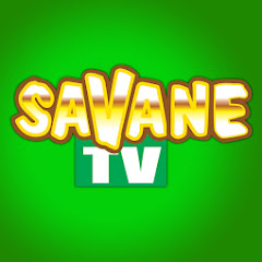 Replay Savane TV