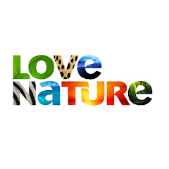 Replay Love Nature Brasil