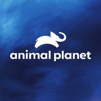 Replay Animal Planet