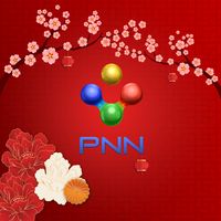 Replay PNN TV